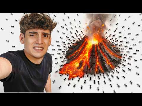 🚨Batalla de Hormigas VS. Catastrofes🚨