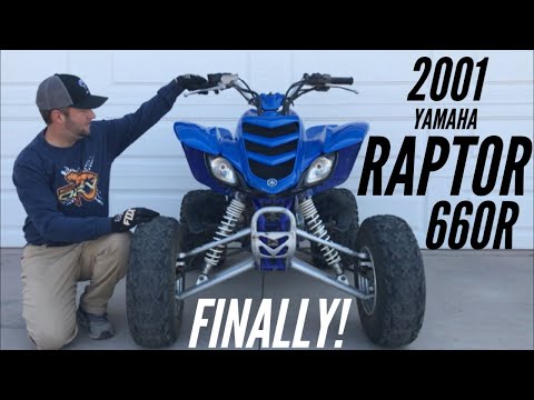 RAPTOR 660R - We bought one! (Vid #1)