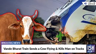 Vande Bharat Train Sends a Cow Flying & Kills Man on Tracks