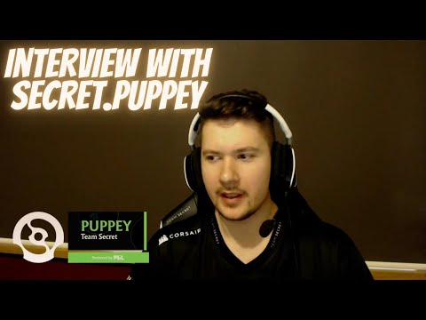 Team Secret Puppey Interview - After Match Against Alliance #dota2 #subtitles