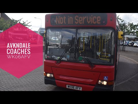 Avondale coaches Pointer dart (WK06 AFV)