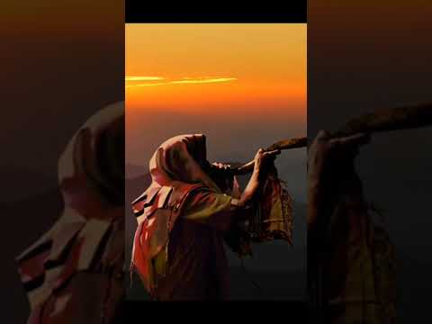 Shofar ( trompeta de Dios)