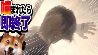 噛まれたら即終了 バイオハザードRE:4 / part427