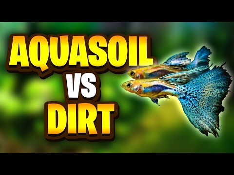 Aquasoil Vs Dirt - What's The Best Option For Your Planted Tank?