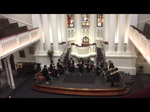 Three More Cats  & More Three Cat  Kraken