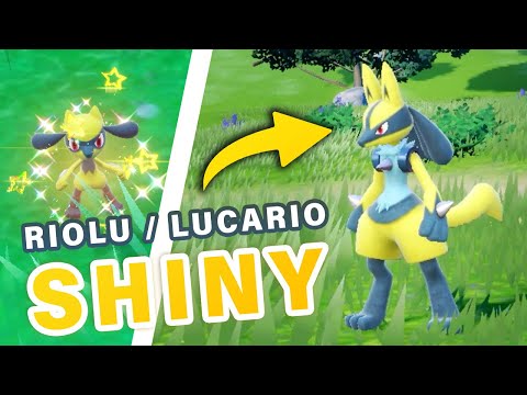 How to get Shiny a Riolu / Lucario ► Pokemon Scarlet & Violet