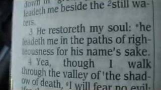 Psalm 23 King James Holy Bible