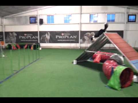 video-2012-01-18-16-51-55 Albena Identifizieren Wand tunnel slalom wippe.mp4