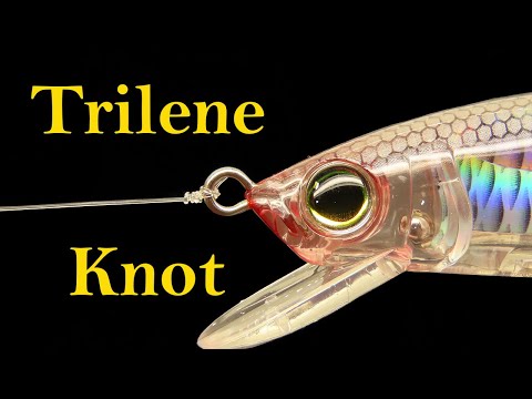 How to tie the Trilene knot