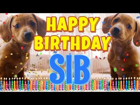 Happy Birthday Sib! ( Funny Talking Dogs ) What Is Free On My Birthday