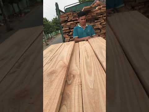 Gỗ Xoan tại B&igrave;nh Dương