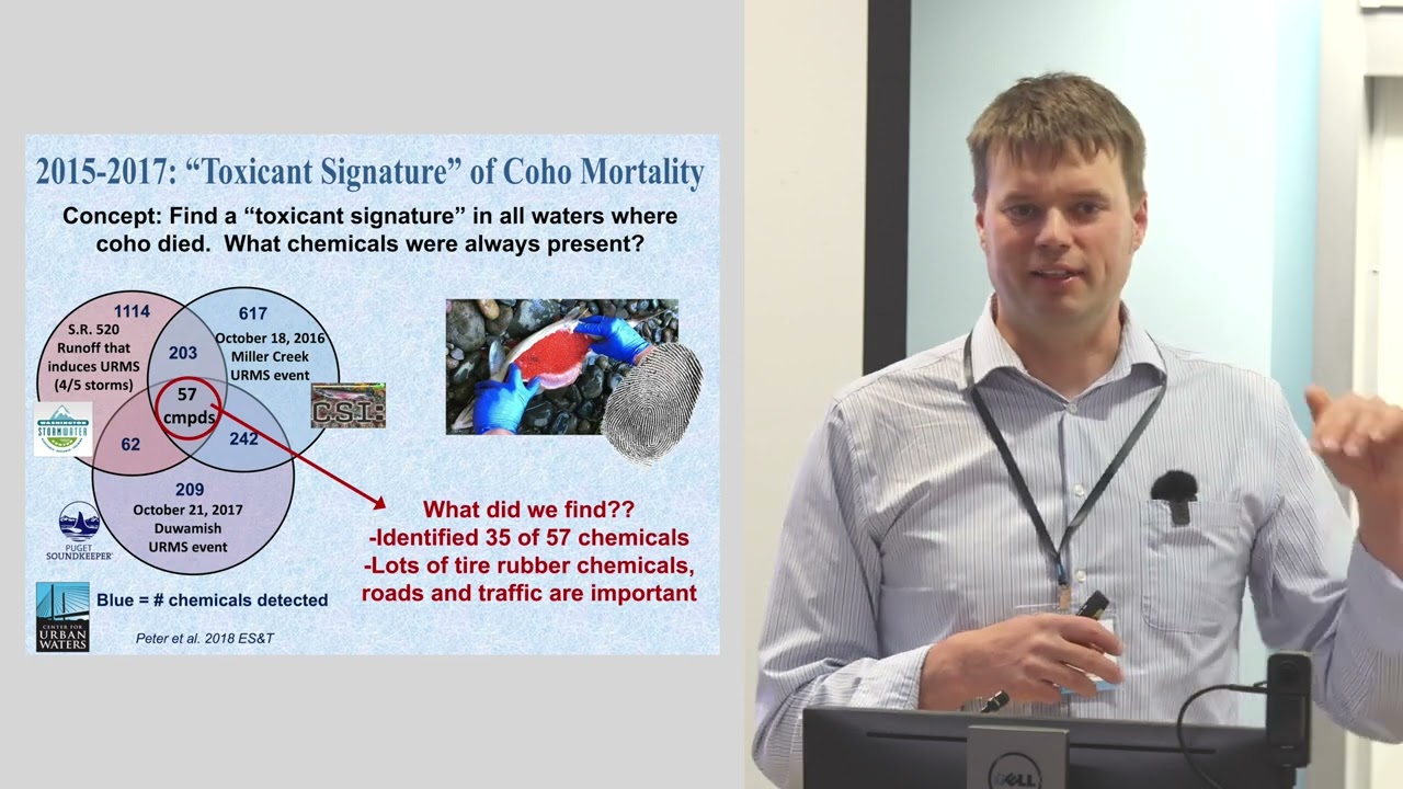 6PPD-Quinone: Introduction and Background