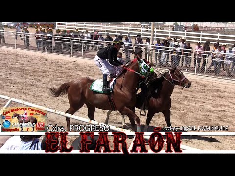 11.-1er Heat Fast and Furious en 100 varas (EL FARAÓN)