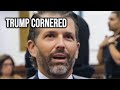 Don Trump Jr Goes FULL PANIC As Devastating Fraud Trial Truth Crashes Down