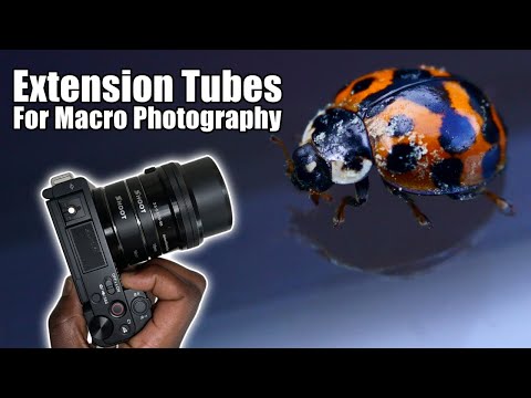 Extension Tubes for Cheap Macro Photography? | Close up photography and SAVE money!!