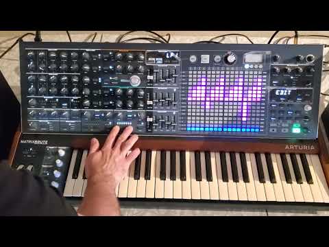Arturia Matrixbrute in action