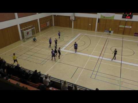 MadMax - PJK 10.1.2017 maalikooste