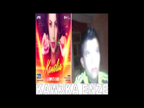 Voxis feat. Kamelia - Am invatat