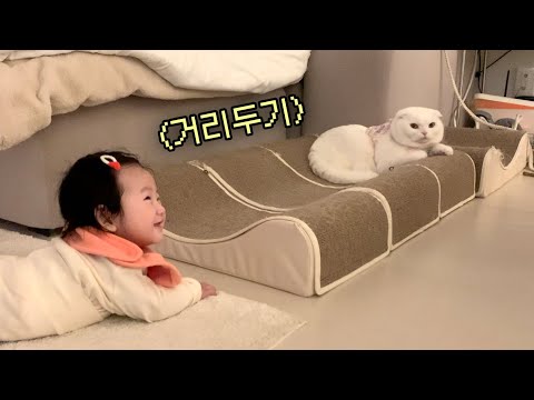 작은 인간이랑 친해질 수 있을까