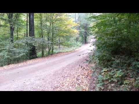 Raliul Iasului 2013 Dunlop 10