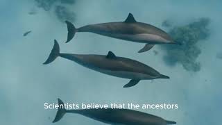 روتين العناية بالبشرة والجمال#DDR77661