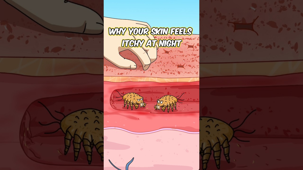 Why your skin feels itchy at night?