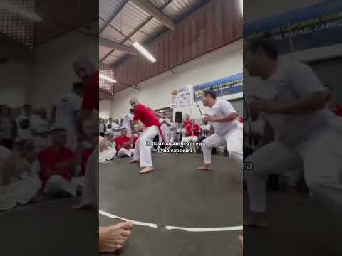 elas não brincam! mulheres capoeiristas são outro nível 🔥😱