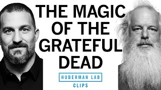 Why the Grateful Dead Were So Good | Rick Rubin &amp; Dr. Andrew Huberman