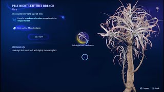 Avatar: Frontiers of Pandora - PALE night leaf tree branch LOCATION