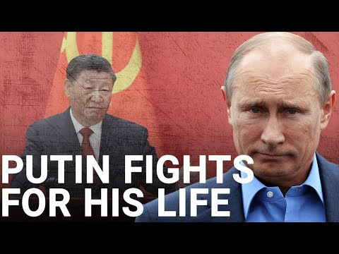 Putin ‘gouged’ by Xi Jinping as Russian economy shrinks | Danny Russell