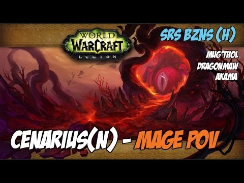 Srs Bzns vs. Emerald Nightmare (N) - Cenarius - Fire Mage PoV