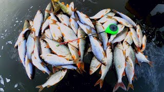Безмотылки на окуня и плотву гвоздекубик