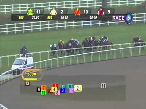 Captivate winning in SINGAPORE RACE 14/07/2013 RACE 5