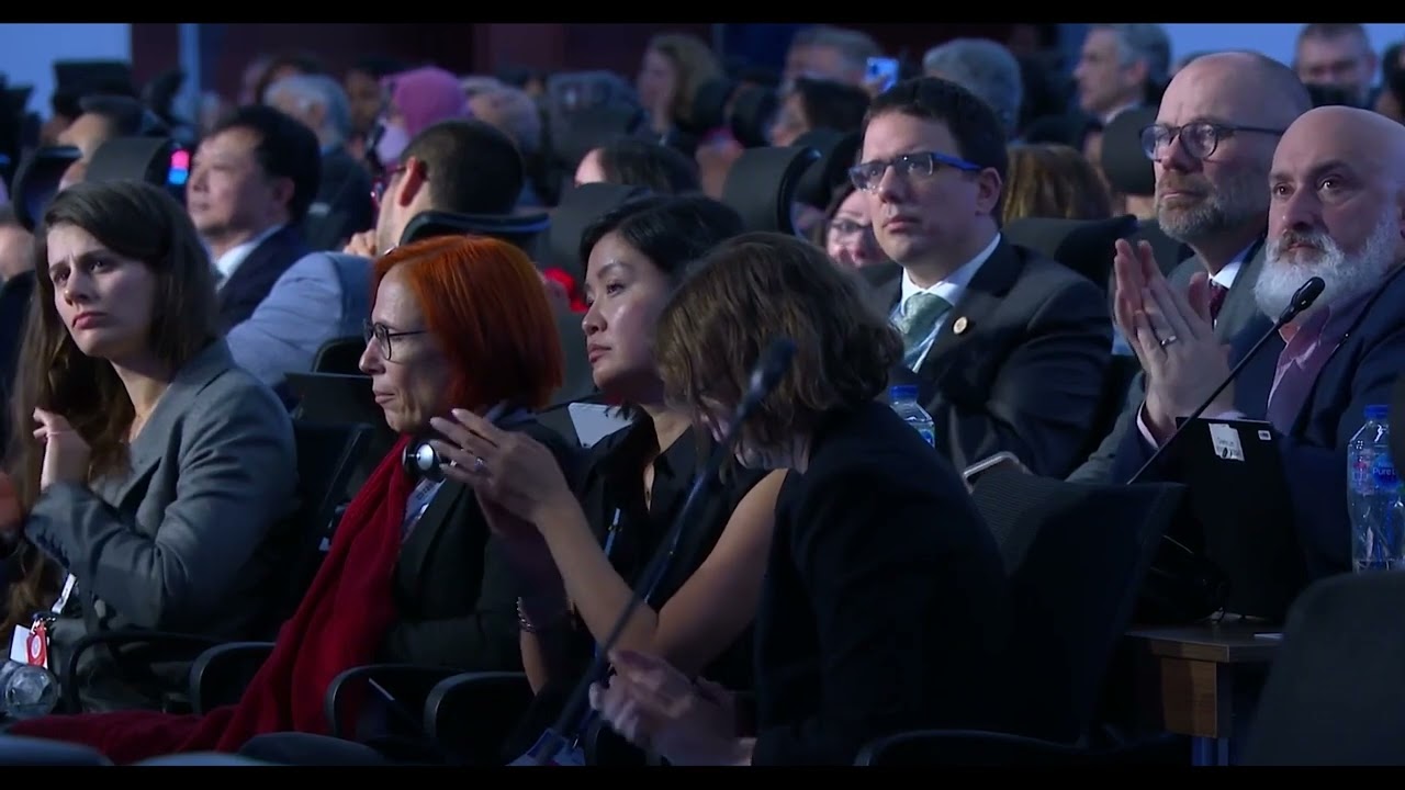 Disaster Resilient Infrastructure