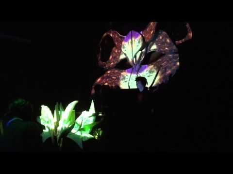 ☯ ALREADY MAGED LIVE 3/4 ☯ AMORA ☯ Protokultura,Gdańsk ☯ 14.02.2016 ☯