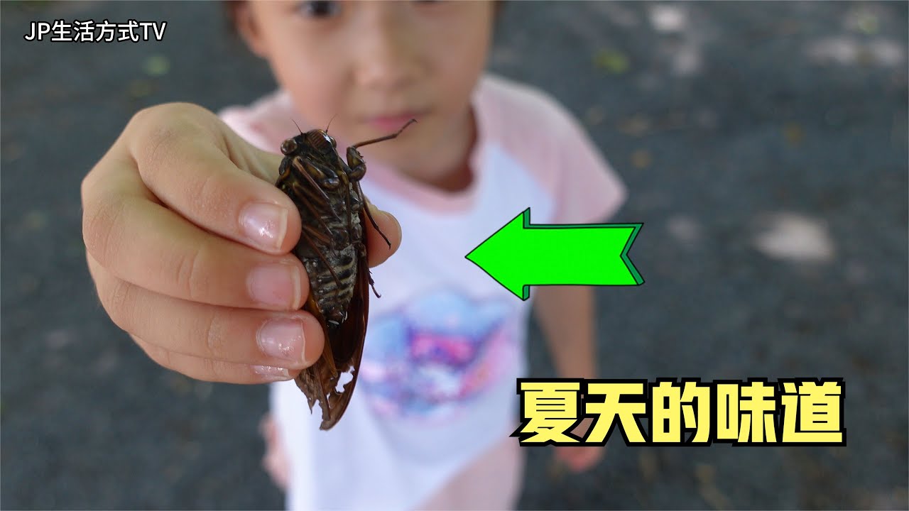 帶著孩子感受日本夏天的味道 捉昆蟲｜JP生活方式 TV｜