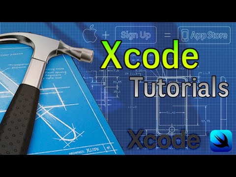 Xcode - Human to Dog Years Calculator - Text Boxes & unwrapped optionals