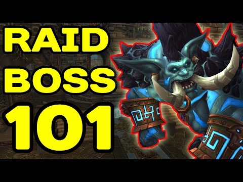 WoW Raid Boss 101: JIN'ROKH SOLO !!