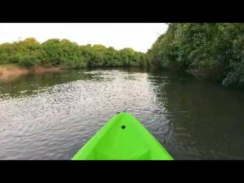 Navegando En Familia - Arroyo El Yerbal, Afluente Del Rio Olimar, Treinta y Tres, Uruguay.