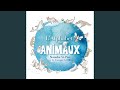 B - Quel bavard ce bernard-l’ermite