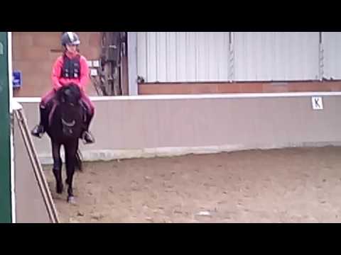 Tricia Meyvis met Nobelina T/Nobel Nagano/Charivari/ 3 jaar