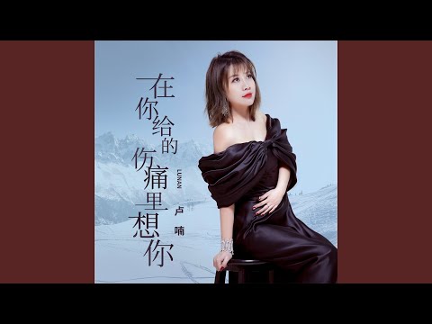 Thể hiện bởi Lu Nan
