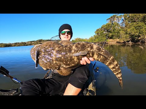 Estuary Fishing for MONSTERS!!