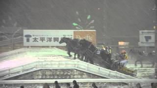 preview picture of video 'Ban'ei Horse Racing @ Obihiro'