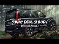 Sunny Deol Si Body Re Slowed Reverb Raju Punjabi Choudhar Jaat Ki Latest Haryanvi Song