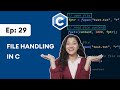 29 C File Handling 2025 C Programming For Beginners