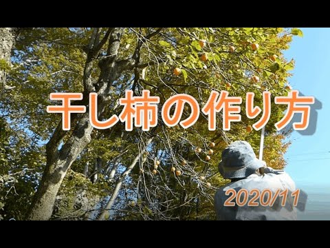干し柿の作り方と時期は？干し柿の結び方やカビ対策や保存方法は？ | ゆうがの楽々家庭菜園　