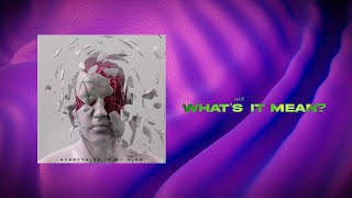 what's it mean? Music Video