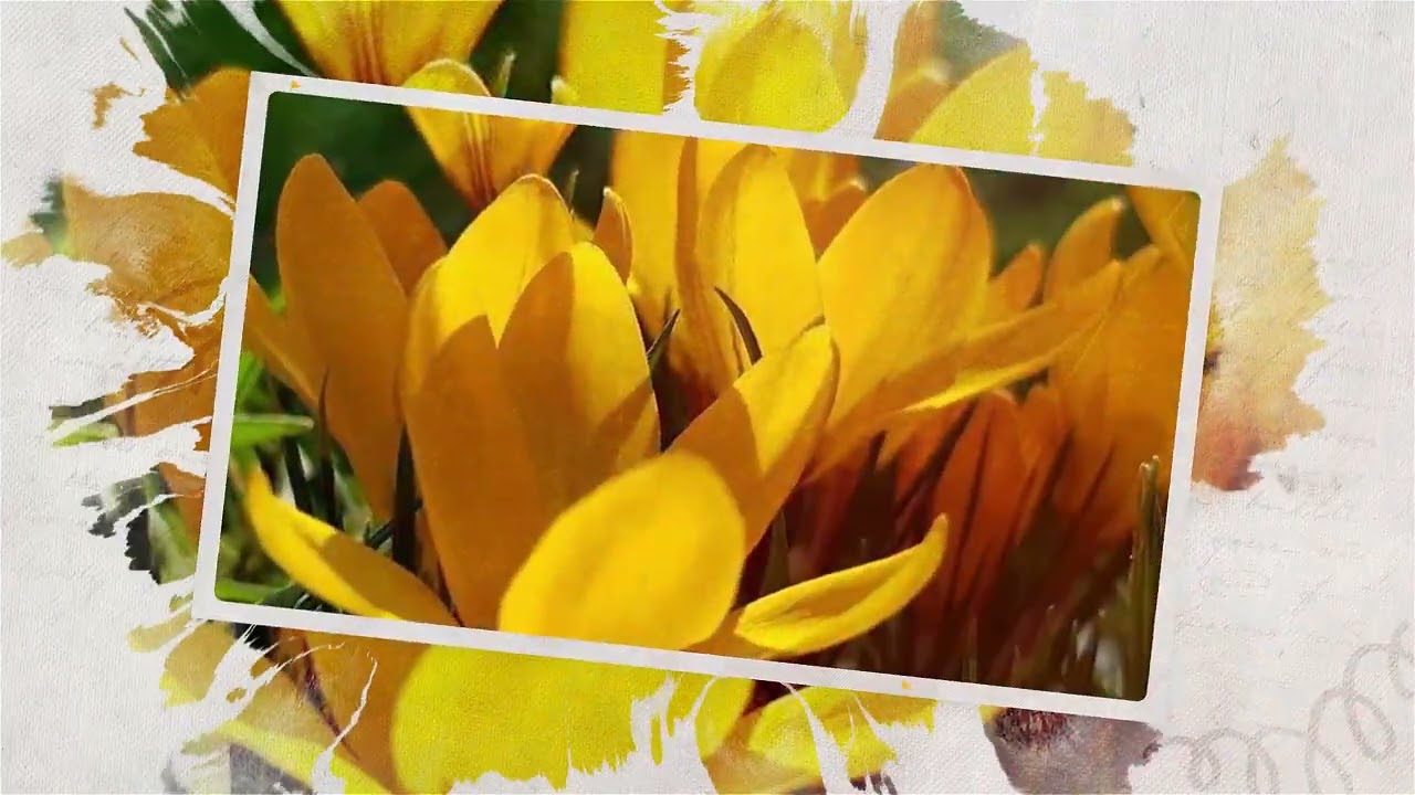 Aydos Dağından yayılan koku; İstanbulensis...