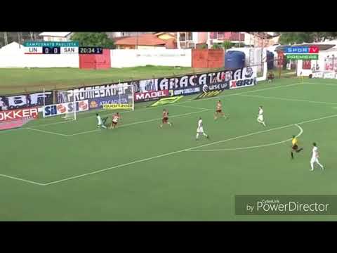 LINENSE 0 X 3 SANTOS - NARRAÇÃO SANTÁSTICA